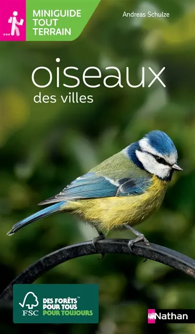 Oiseaux des villes