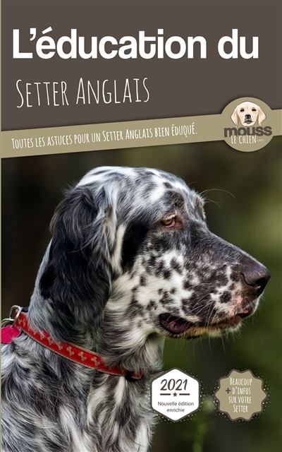 L'éducation du setter anglais : toutes les astuces pour un setter anglais bien éduqué : 2021