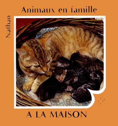 Animaux en famille : à la maison