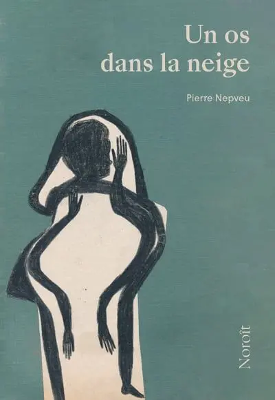 Un os dans la neige