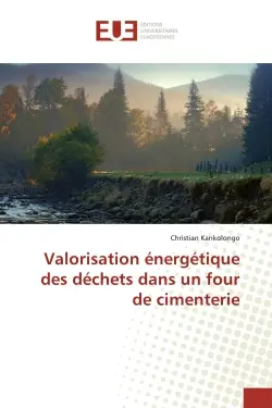 Valorisation energetique des dechets dans un four de cimenterie