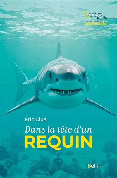 Dans la tête d'un requin