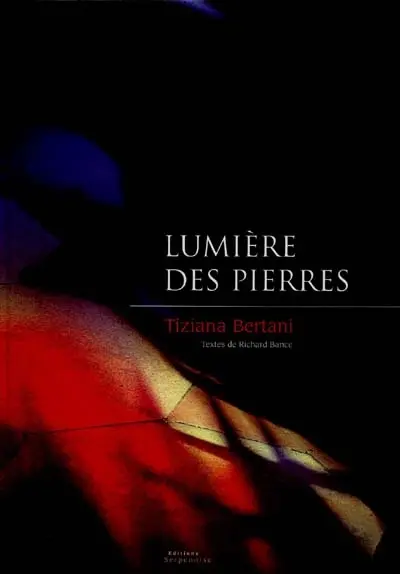 Lumière des pierres : la cathédrale Saint-Etienne de Metz