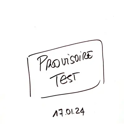 Chronique du roi D. Pedro I