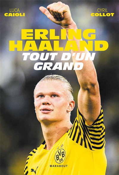 Erling Haaland : tout d'un grand