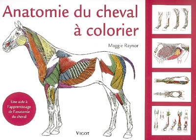 Anatomie du cheval à colorier : une aide à l'apprentissage de l'anatomie du cheval