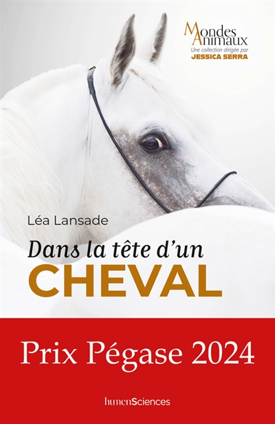 Dans la tête d'un cheval