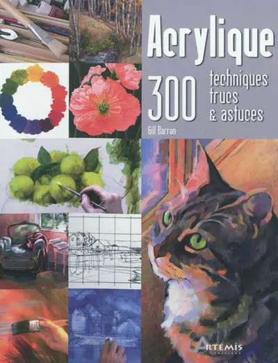 Acrylique : 300 techniques, trucs & astuces