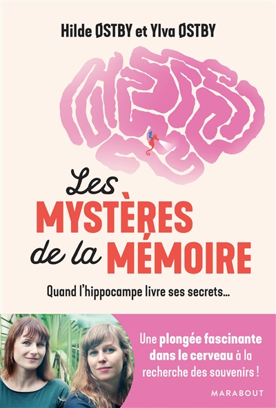 Les mystères de la mémoire : quand l'hippocampe livre ses secrets...