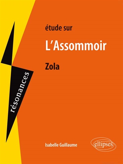 Etude sur Emile Zola, L'assommoir