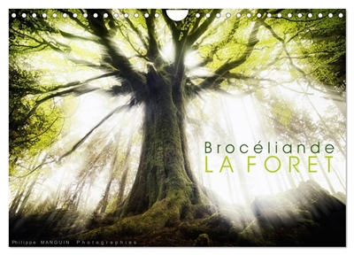 BROCELIANDE, la forêt (Calendrier mural 2026 DIN A4 vertical), CALVENDO calendrier mensuel : photographies de la forêt de Brocéliande