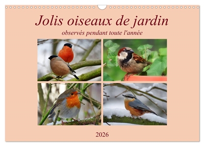 Jolis oiseaux de jardin (Calendrier mural 2026 DIN A3 vertical), CALVENDO calendrier mensuel : Observés pendant toute l'année...