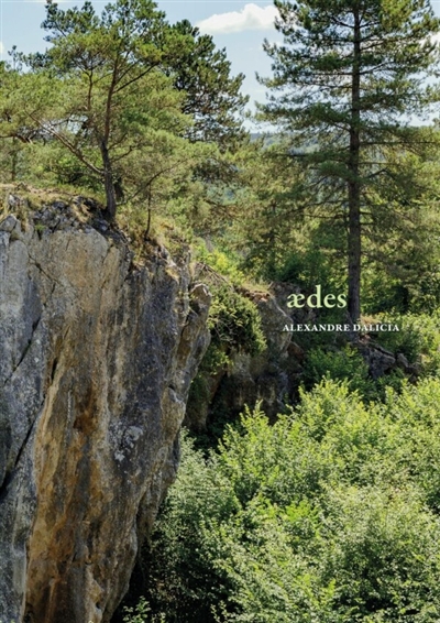 Aedes