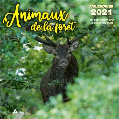 Animaux de la forêt : calendrier 2021 : de septembre 2020 à décembre 2021
