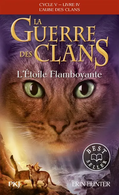 La guerre des clans : cycle 5, l'aube des clans. Vol. 4. L'étoile flamboyante