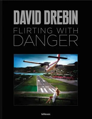 David Drebin Flirting with Danger
