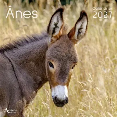 Anes : calendrier 2027 Anes : calendrier 2027