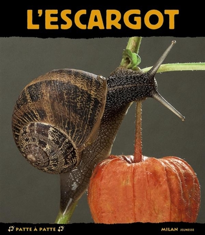 L'ESCARGOT, PAISIBLE DORMEUR