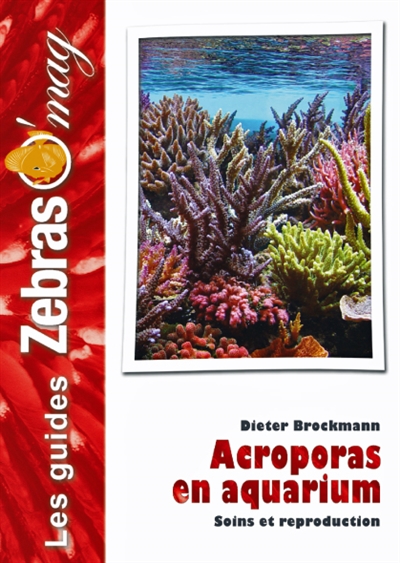 Acroporas en aquarium : soins et reproduction