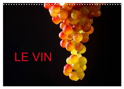 LE VIN (Calendrier mural...