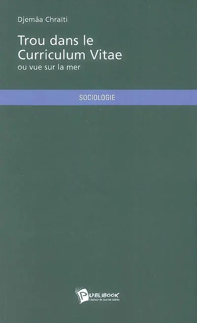 Trou dans le curriculum vitae ou Vue sur la mer