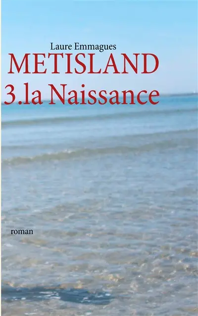 METISLAND : 3. la Naissance