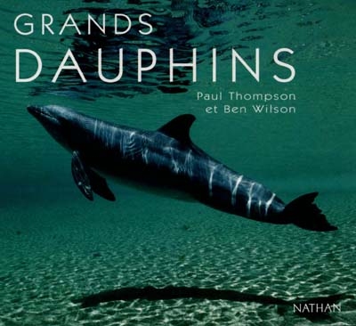 Grands dauphins
