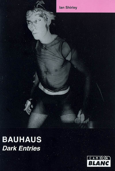 Bauhaus : dark entries