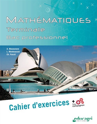 Mathématiques : terminale bac professionnel : cahier d'exercices