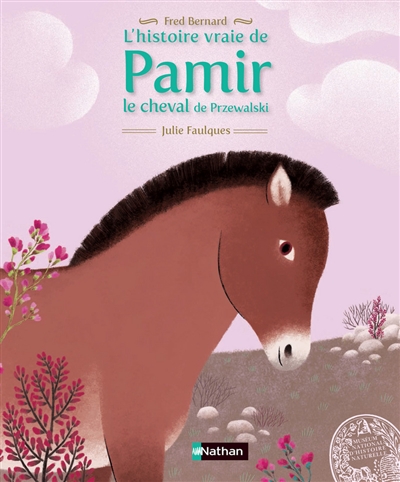 L'histoire vrai de Pamir le cheval de Przewalski