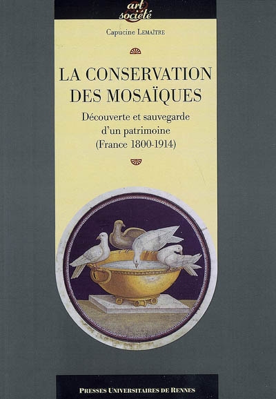 La conservation des mosaïques : découverte et sauvegarde d'un patrimoine (France 1800-1914)