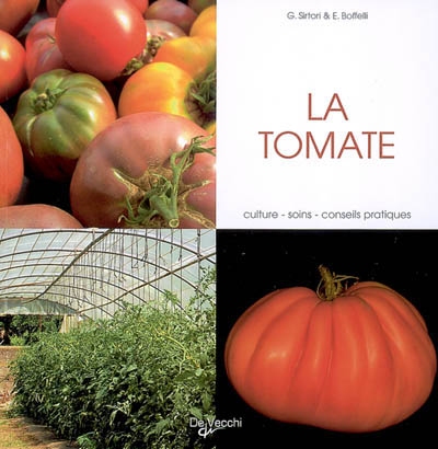 La tomate : culture, soins, conseils pratiques