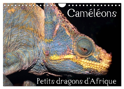 Caméléons : Petits dragons d'Afrique. (Calendrier mural 2025 DIN A4 vertical), CALVENDO calendrier mensuel : Douze portraits extraordinaires des plus surprenantes espèces de caméléons.