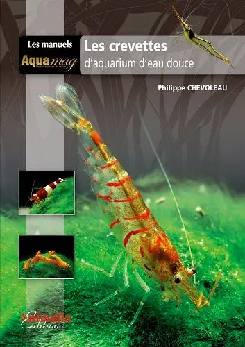 Les crevettes : d'aquarium d'eau douce