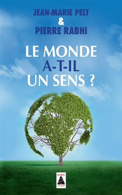 Le monde a-t-il un sens ? : essai