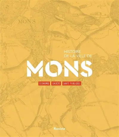 Histoire de la ville de Mons. Vol. 2. Economie, société, santé publique