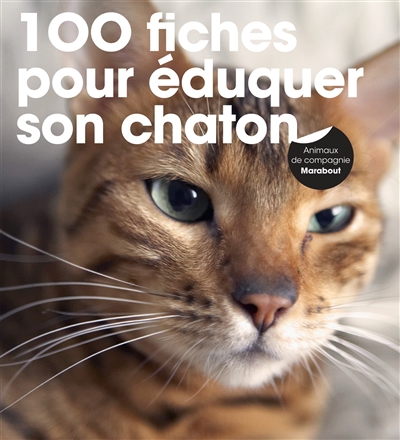 Eduquer son chaton : une méthode facile pour vivre en harmonie avec son chaton