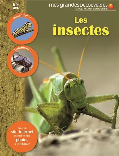 Les insectes
