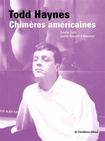 Todd Haynes : chimères américaines