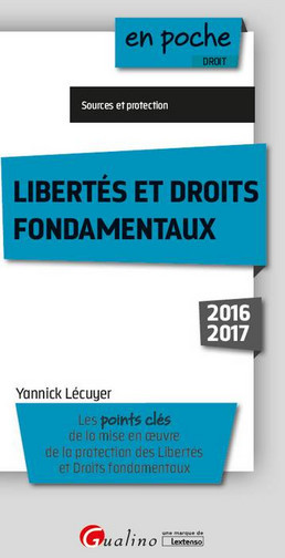 Libertés et droits fondamentaux 2016-2017 : les points clés de la mise en oeuvre de la protection des libertés et droits fondamentaux
