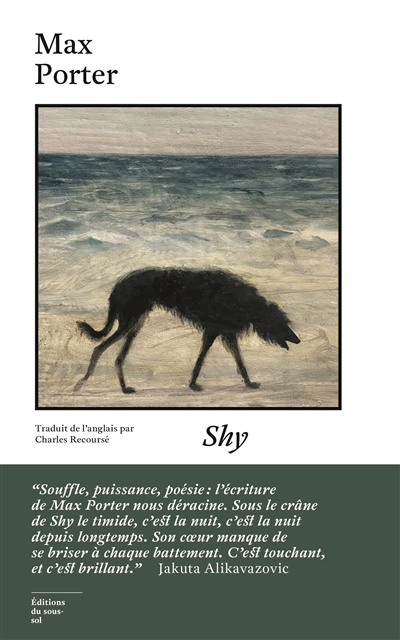 Shy : le timide