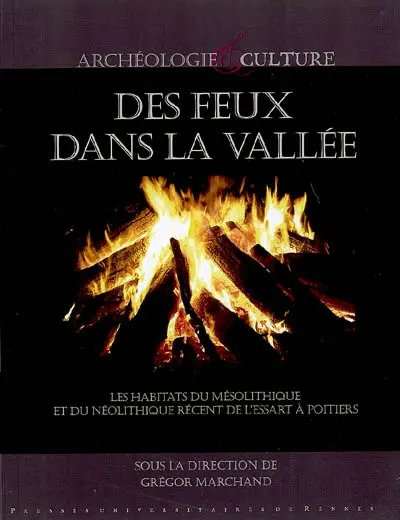 Des feux dans la vallée : les habitats du mésolithique et du néolithique récent de l'Essart à Poitiers (Vienne)
