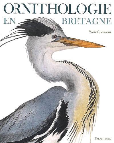 Ornithologie en Bretagne