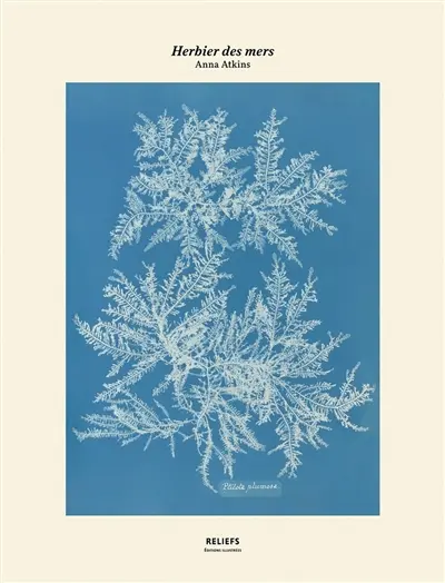 Herbier des mers
