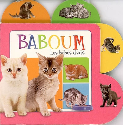Les bébés chats