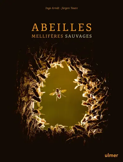 Abeilles mellifères sauvages