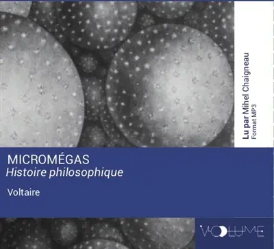 Micromégas