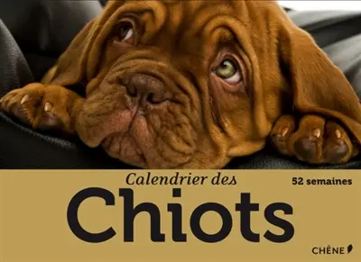 Calendrier des chiots : 52 semaines