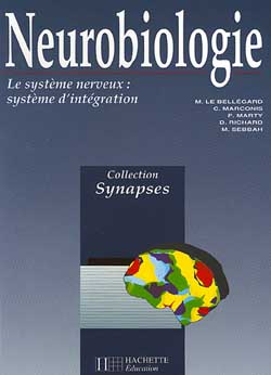Neurobiologie : le système nerveux : système d'intégration