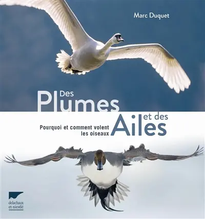 Des plumes et des ailes : pourquoi et comment volent les oiseaux